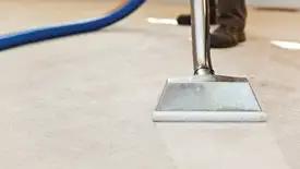 Carpet cleaning wand head gliding over a light carpet during hot-water extraction, Des Moines, IA.